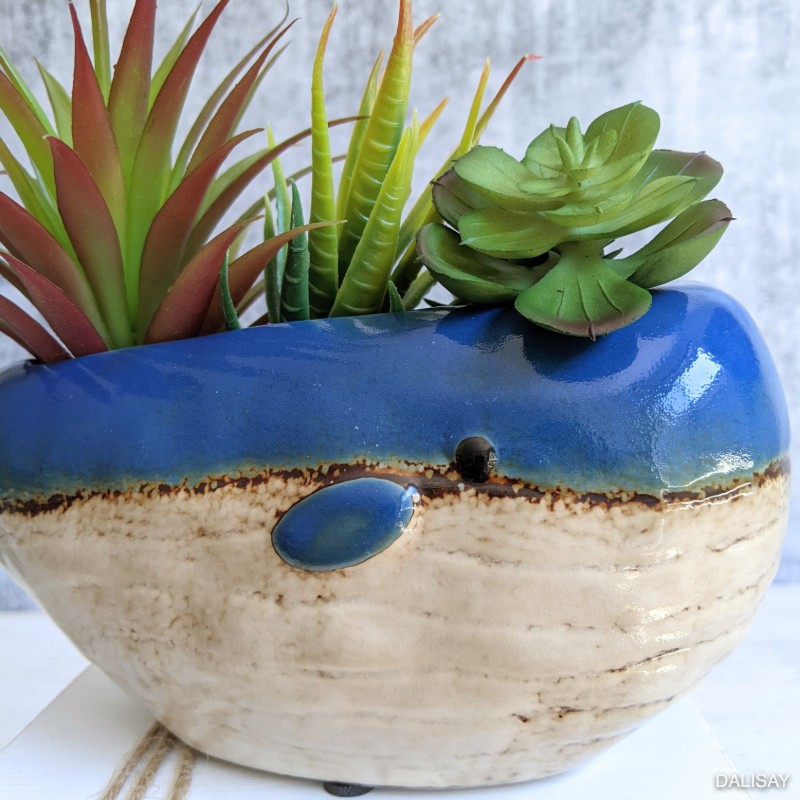 Blue Whale Succulent Planter Pot