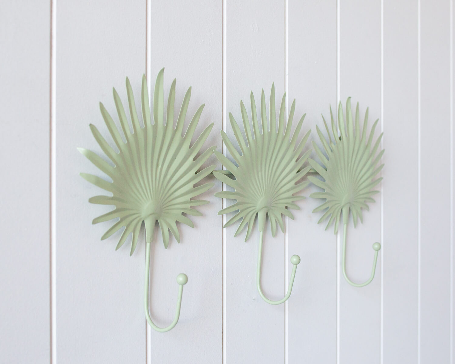 Olive Green Shell Wall Hook