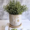 Abstract Face Planter Pot with Saucer
