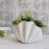 Coastal White Oyster Ceramic Vase