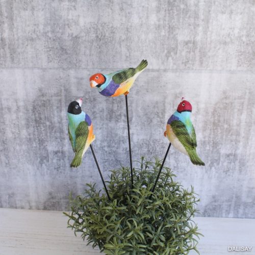 Gouldian Rainbow Finch Pot Sitter - Set of 3