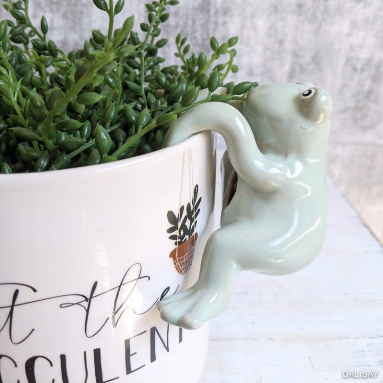 Sage Green Frog Pot Sitter Hanger Set Of 2 Dalisay