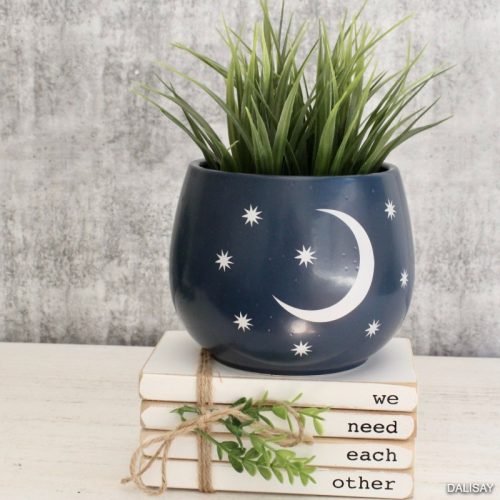 Night Sky Moon Planter Pot