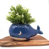 Blue Whale Planter Pot