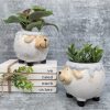 Happy White Sheep Planter Pot - Set of 2