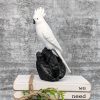 White Parrot on Black Starfruit Statue