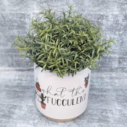 Fucculent Ceramic Planter Pot