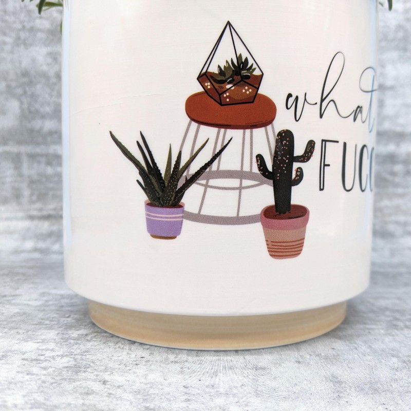 Fucculent Ceramic Planter Pot