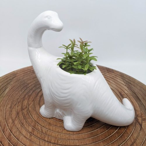 White Dinosaur Planter Pot