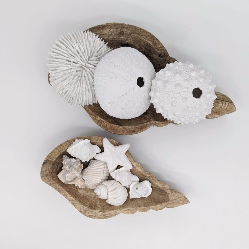 Wooden Sea Shell Tray - Set of 2