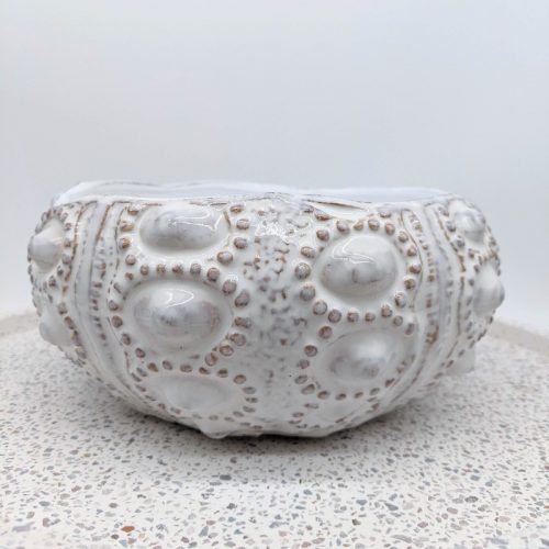 Coastal Ivory Urchin Bowl Planter Pot