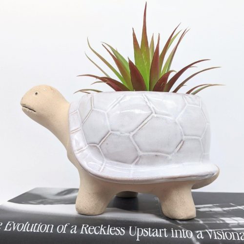 White Turtle Succulent Planter Pot