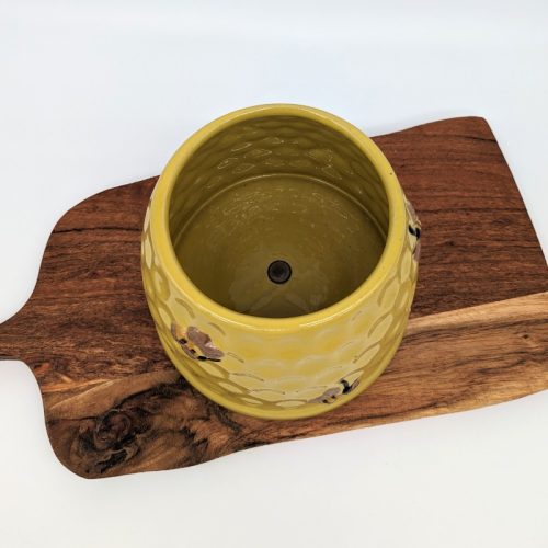 Buzzing Bees Ceramic Planter Pot