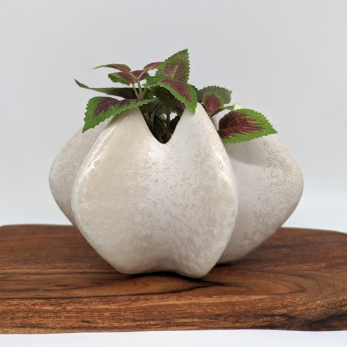 Coastal Cream Flower Vase Pot