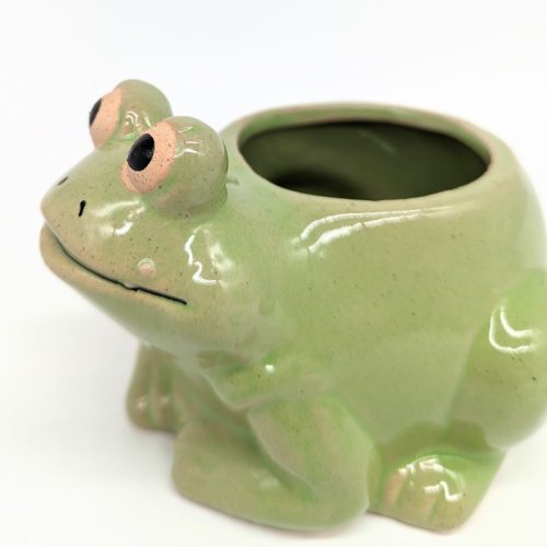 Green Frog Planter Pot
