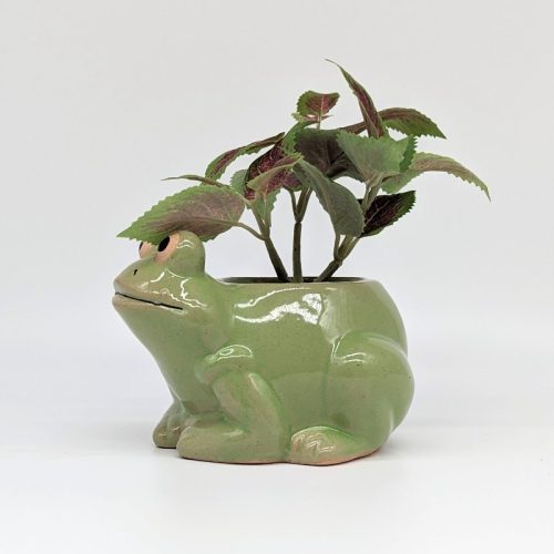 Green Frog Planter Pot