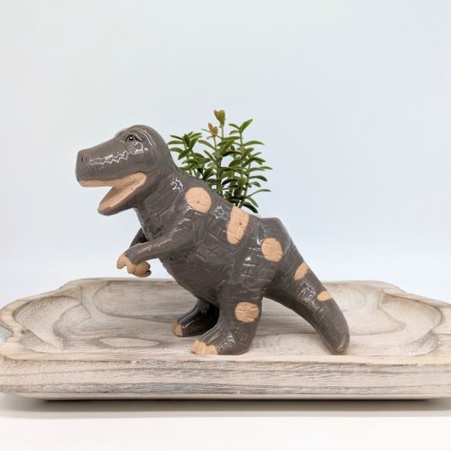 Grey T-Rex Dinosaur Planter Pot