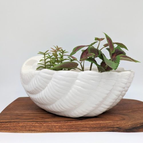White Clam Shell Ceramic Planter Pot
