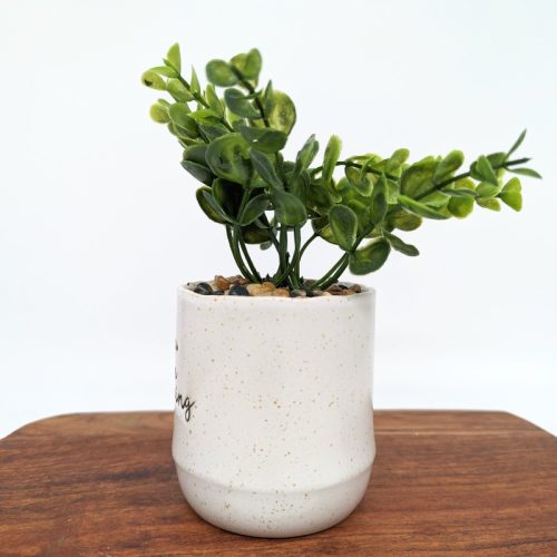 You Are Amazing Ceramic Pot with Artificial Succulent Plant