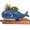 Mommy Blue Whale Planter Pot