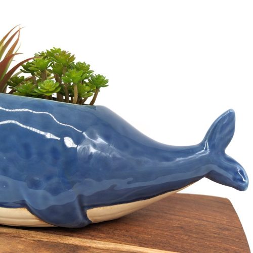 Mommy Blue Whale Planter Pot