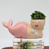 Relaxing Pink Mermaid Planter Pot