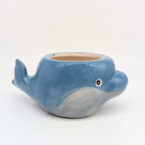 Blue Dolphin Fish Planter Pot