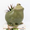 Happy Green Frog Planter Pot