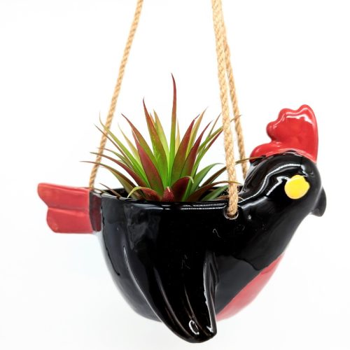 Hanging Black Cockatoo Planter Pot