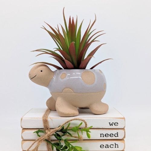 Sandy White Turtle Succulent Planter Pot