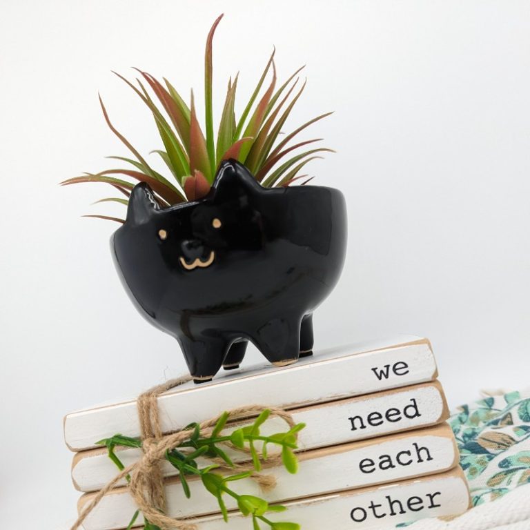 Black Cat Planter Pot Dalisay black-cat-planter-pot-dalisay