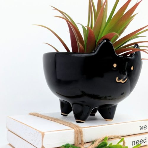 Black Cat Planter Pot
