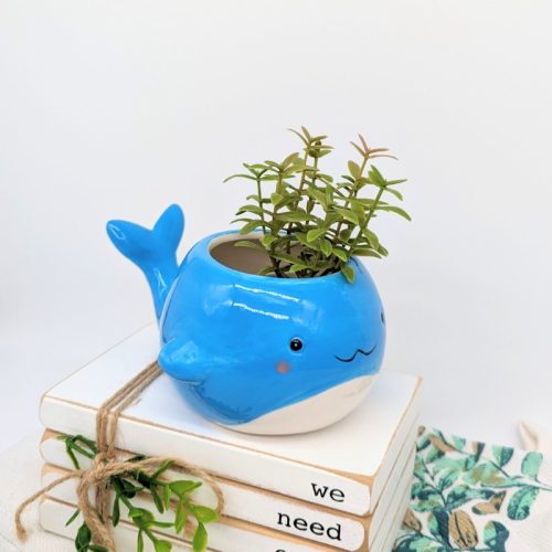 Blue Whale Planter Pot