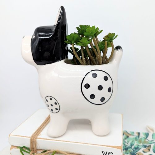 Frenchie French Bulldog Planter Pot
