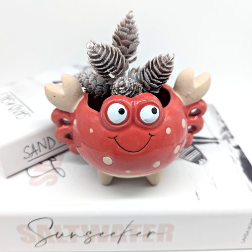 Happy Crab Planter Pot