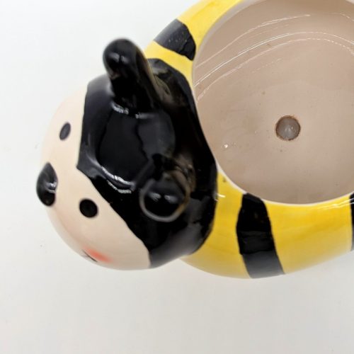 Ladybug Bee Planter Pot