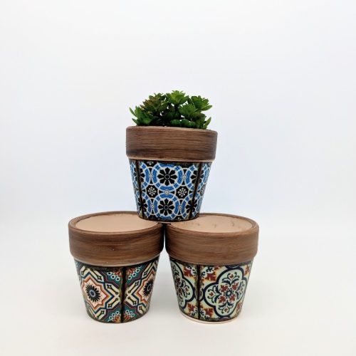 Moroccan Succulent Planter Pot - Set of 3