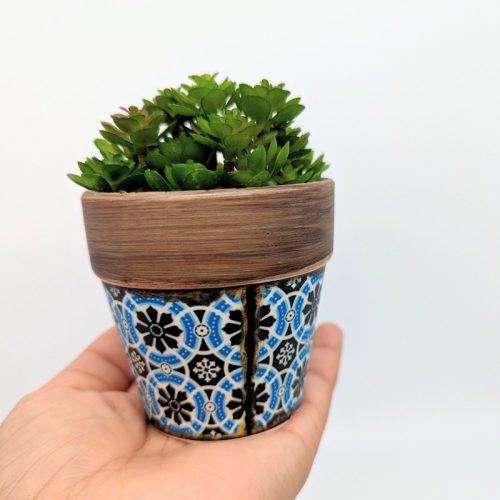 Moroccan Succulent Planter Pot - Set of 3