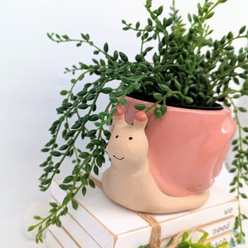 Pink Snail Ceramic Planter Pot