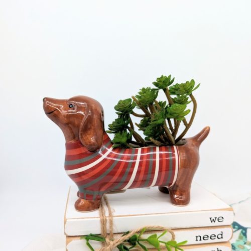 Colourful Weiner Sausage Dog Planter Pot