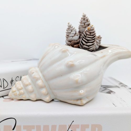 Ivory Sea Shell Planter Pot