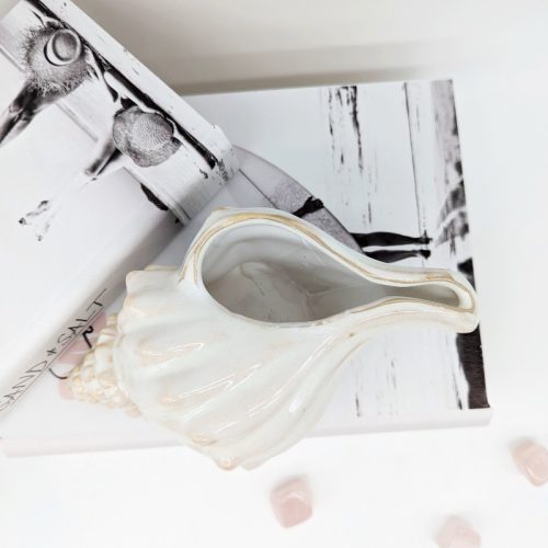 Ivory Sea Shell Planter Pot