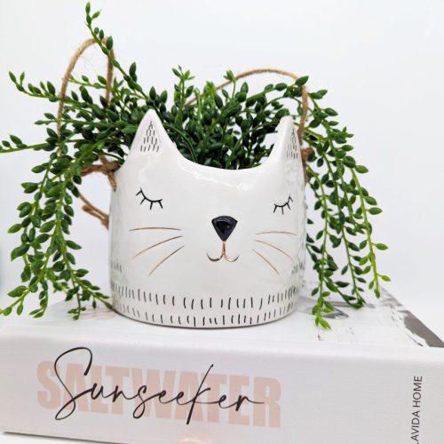 Hanging Cat Planter Pot