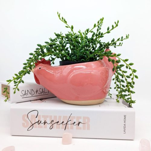 Pink Rooster Chicken Planter Pot