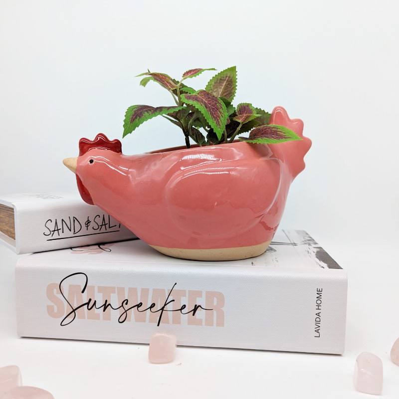 Pink Rooster Chicken Planter Pot