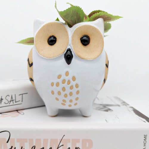 White Black Owl Planter Pot