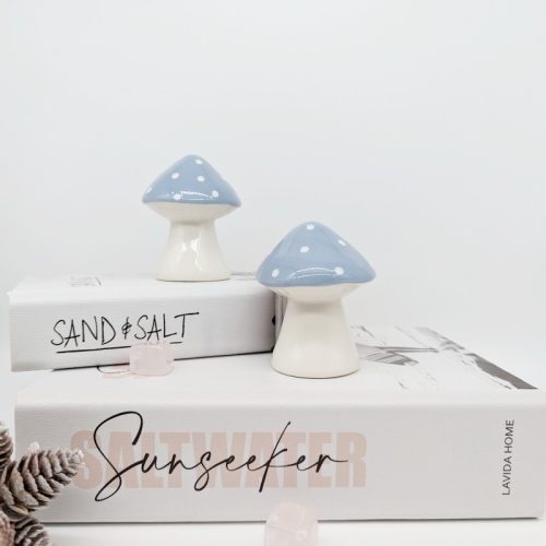 Blue Ceramic Mushroom Set