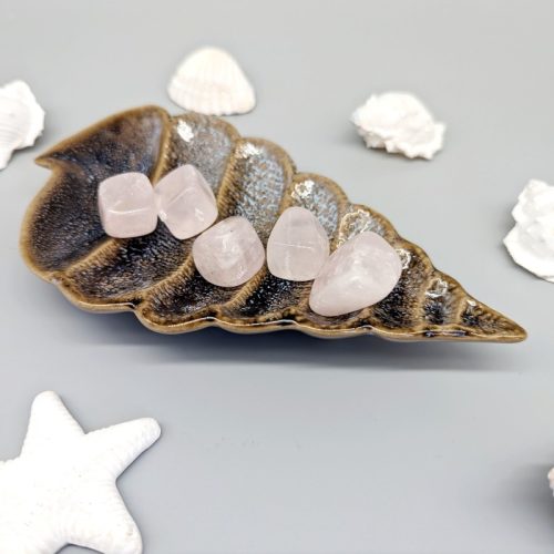 Ceramic Shell Trinket Dish