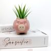 Pink Pig Planter Pot