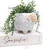 Wooly Sheep Planter Pot